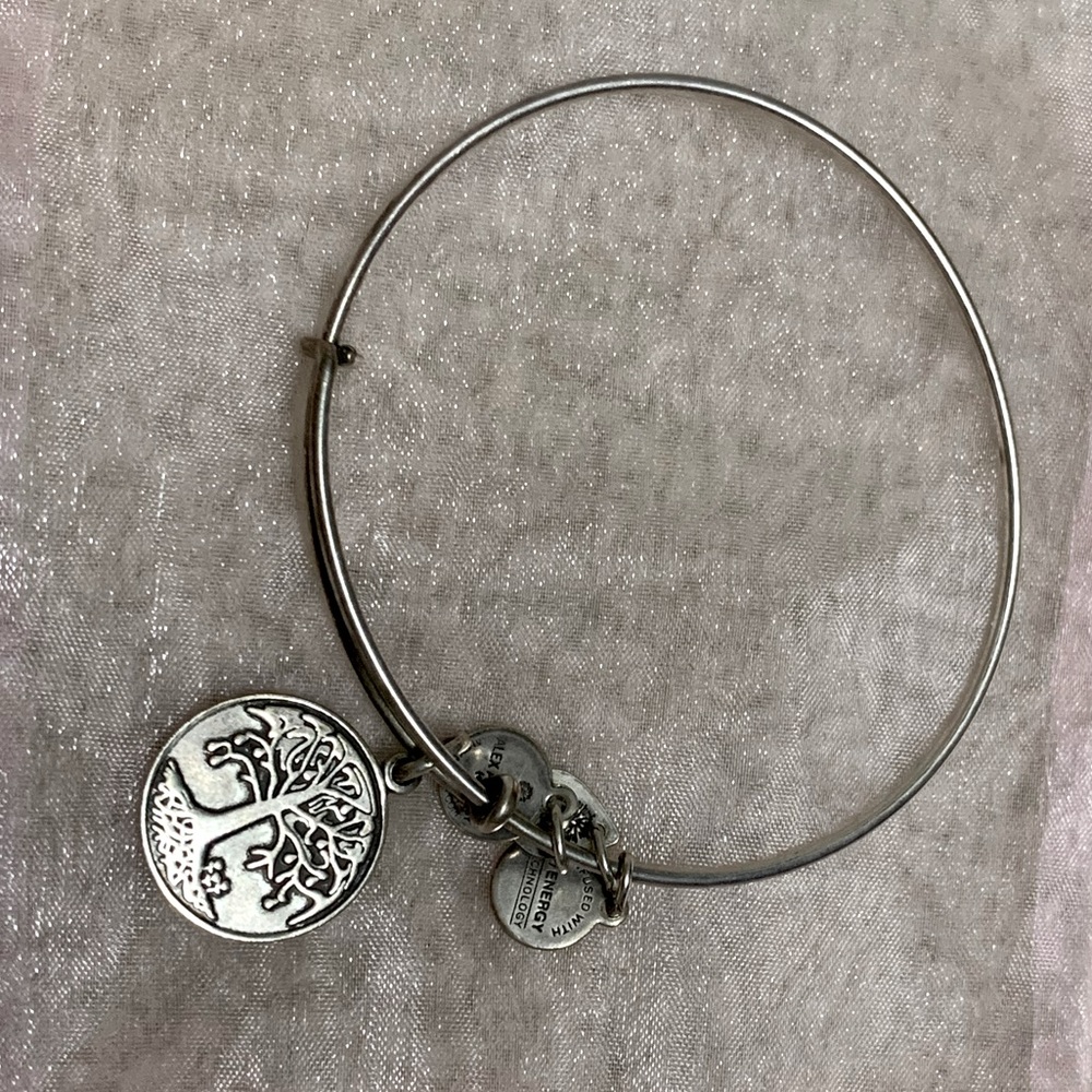 Alex and Ani bracelet